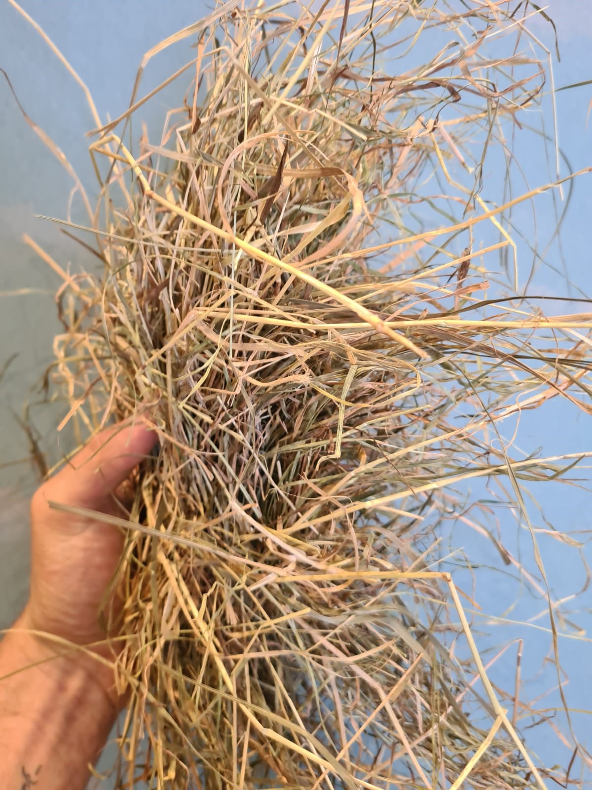 hooi 70 cm